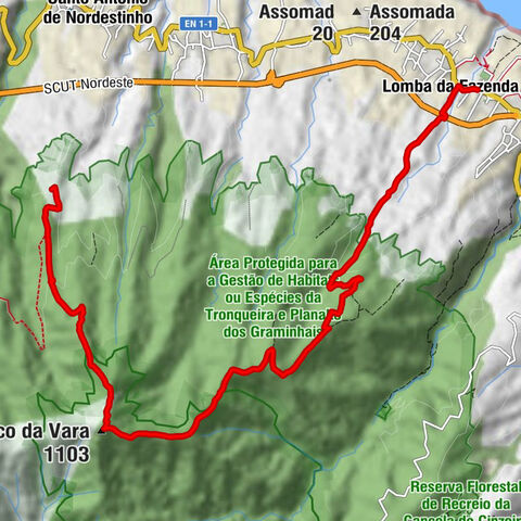 Santo António de Nordestinho - Pico da Vara - Lomba da Fazenda - Casa de Pasto O Cardoso