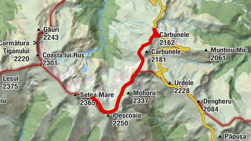 Cărbunele