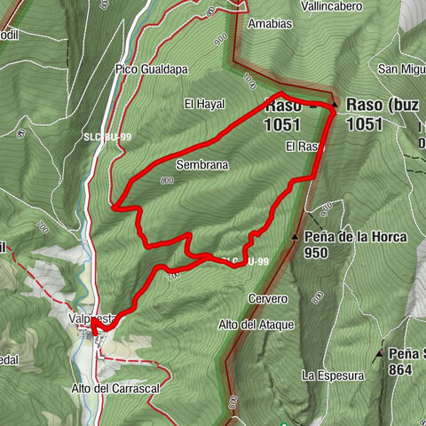 Colegiata de Santa María - Raso (buzon) - Raso - Los Canónigos