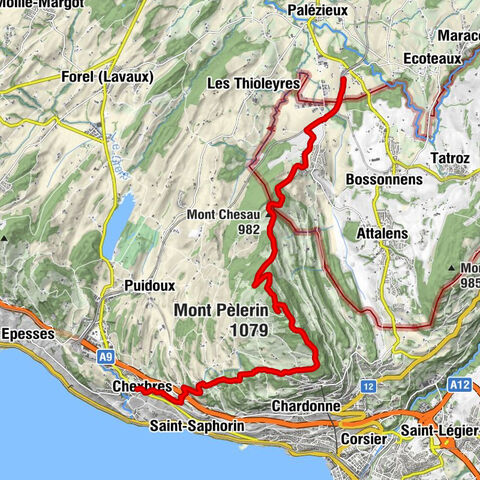Palézieux - Mont Chesau - Mont Pèlerin - Chexbres