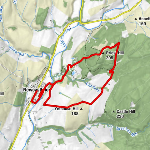 Newcastleton - Priest Hill