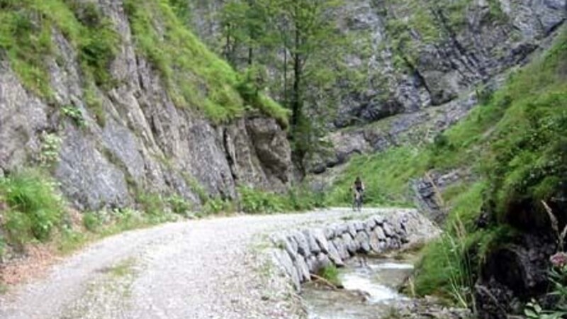 Zemljevid