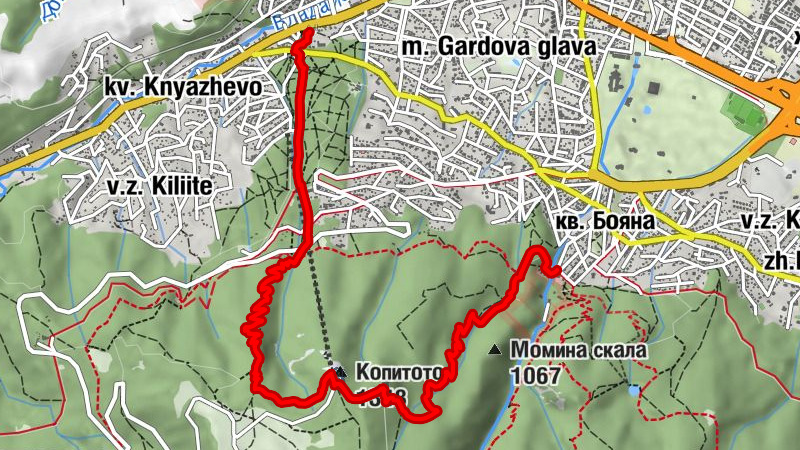 Zemljevid