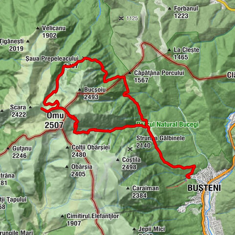 Bușteni - Cabana Mălăiești - Omu - Cabana Omu