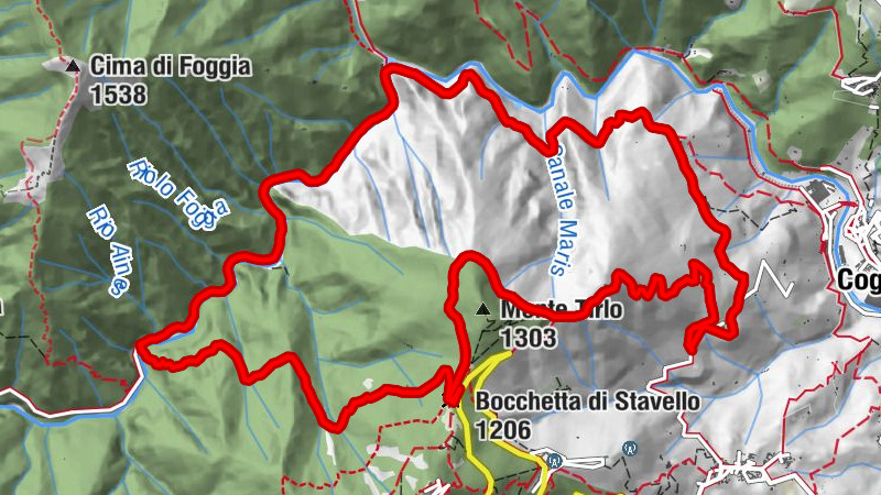 Zemljevid