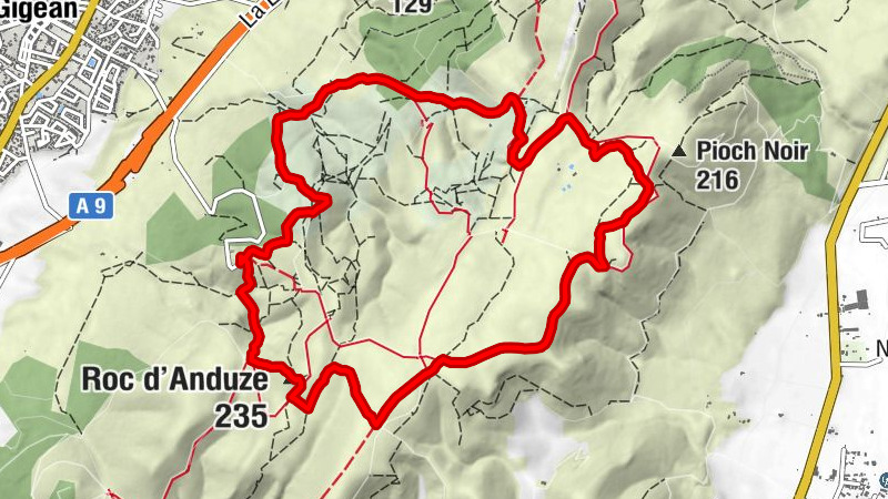 Zemljevid
