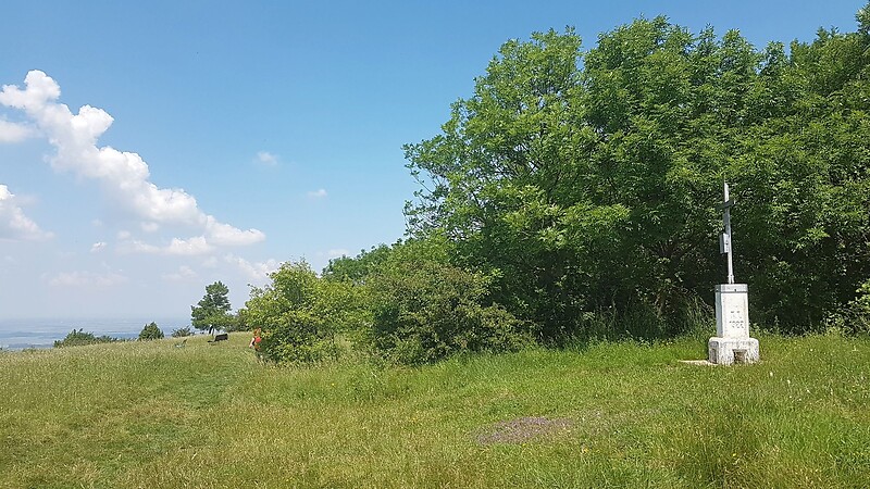 Zemljevid
