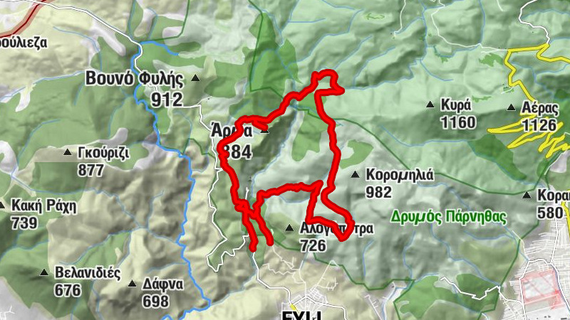 Zemljevid