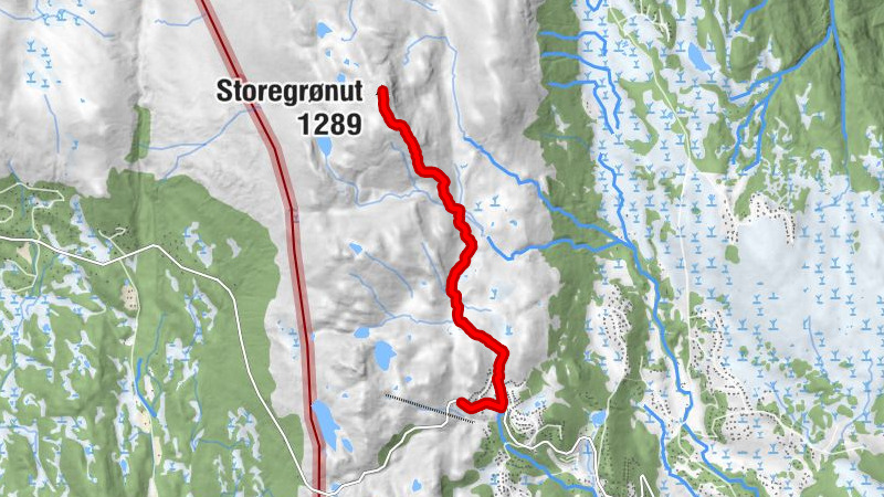 Rollag - Killingdalen - Storegrønut