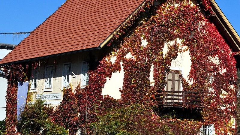 Zemljevid