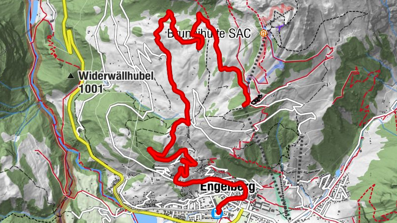 Zemljevid