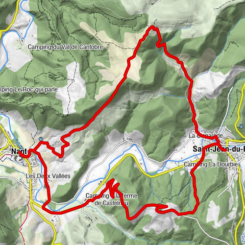 Le Sanglier Hilare - Le Valat - Nant - Le Faubourg Bas