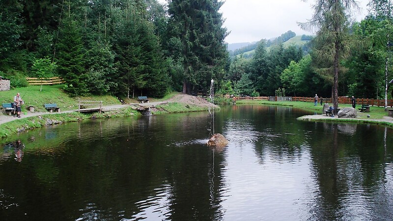 Zemljevid