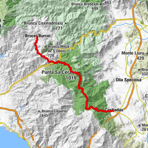Castiadas - Bruncu Su Adulu - Su Casteddu de S'Arridelaxiu - Brucei/Burcei
