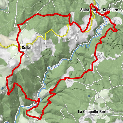 Le Viallard - L'Arbre - Serres - Saint-Pal-de-Senouire