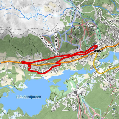 Hol - Fossgardfeltet - Geilo