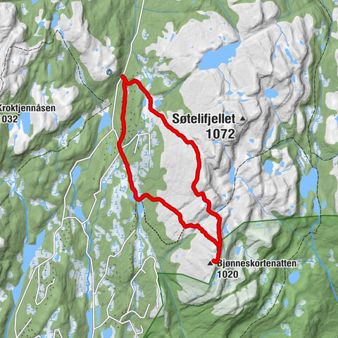 Sigdal - Bjønneskortenatten