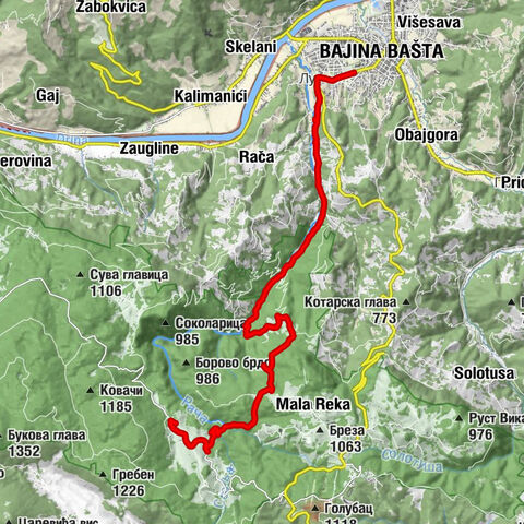 Бајина Башта - Rojal restoran - Манастир Рача - Шљивовица