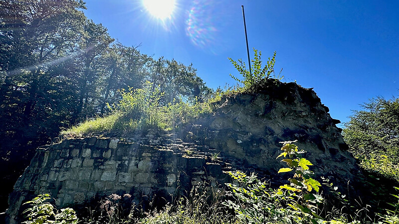 Zemljevid
