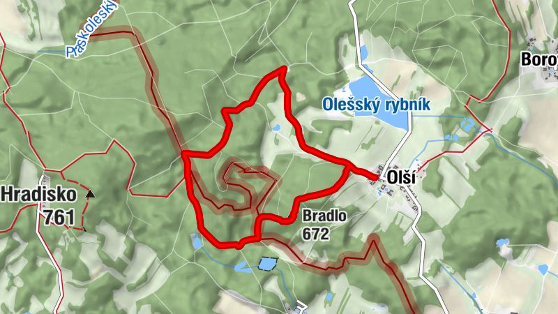 Zemljevid