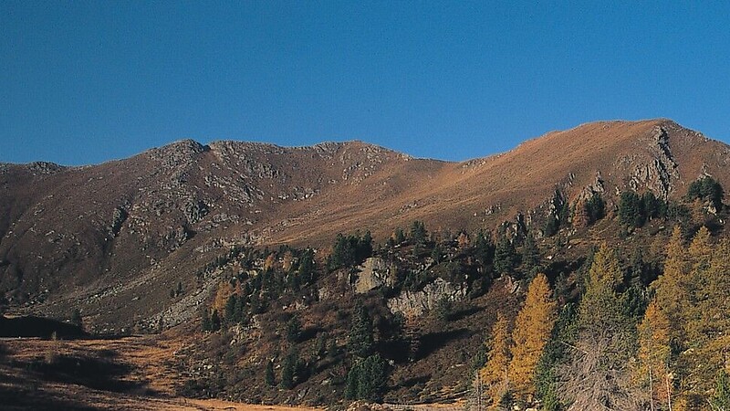 Zemljevid
