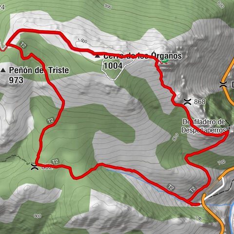 Fuente de la Niebla - Cerro de los Órganos - Collado de la Aviación - Collado de Aviaciòn