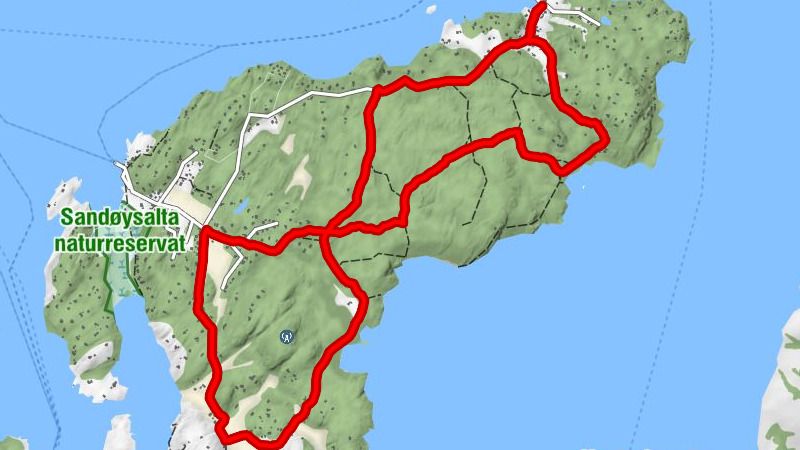 Buvika