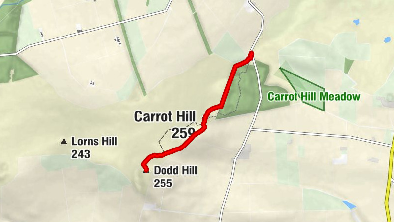 Angus - Carrot Hill - Carrot Hill Viewpoint - Dodd Hill