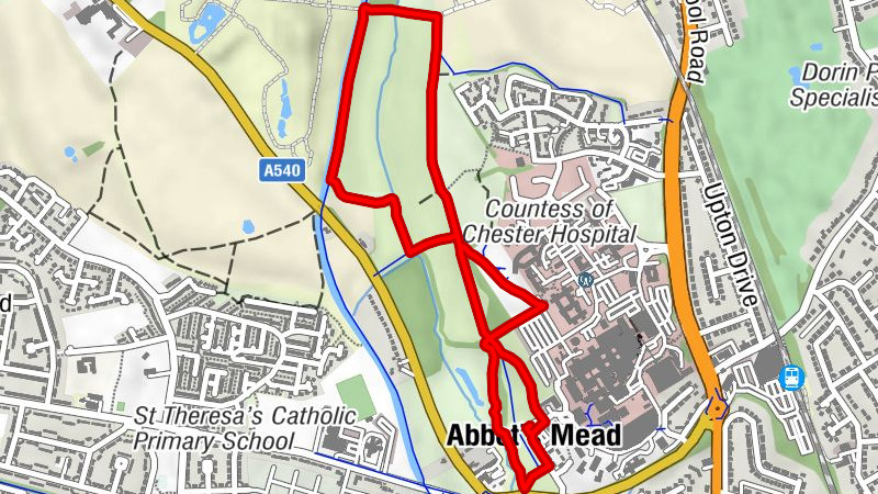 City of Chester - Chester - Abbot's Mead