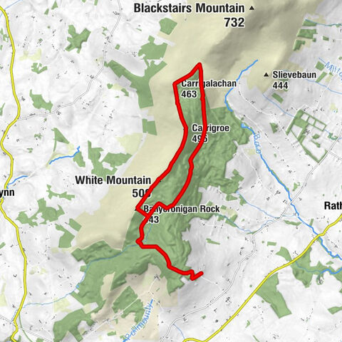Bantry Commons - White Mountain - Carrigroe - Gowlin