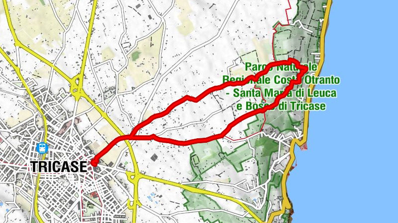 Tricase - Chiesa della Natività della Beata Vergine Maria - Cappella della Madonna di Loreto - Madonna di Loreto