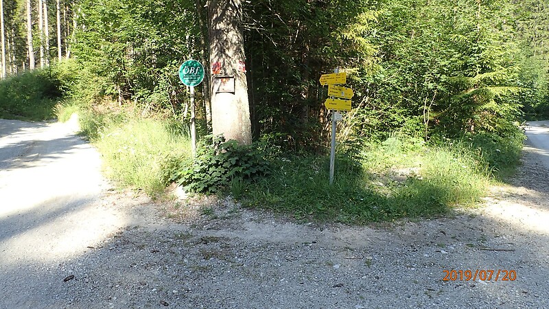 Zemljevid