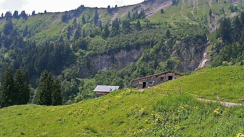 Zemljevid