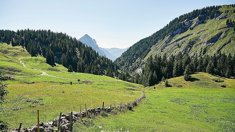 Zemljevid