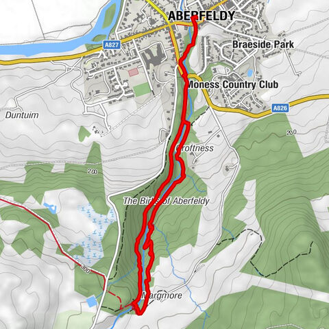 Aberfeldy - Viewpoint for Falls of Moness - Falls of Moness