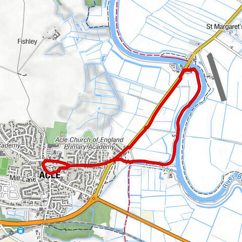 Acle - The Hermitage Public House & Restaurant - Olive Tree