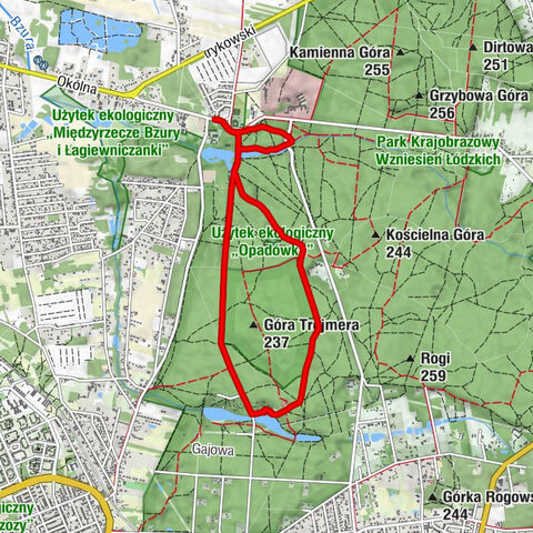 Zgierz - Kaplica św. Rocha i św. Sebastiana - Kaplica św. Antoniego