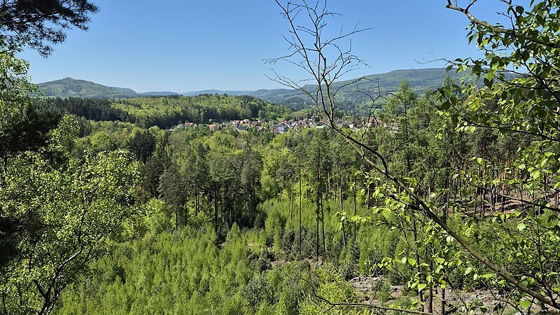 Zemljevid