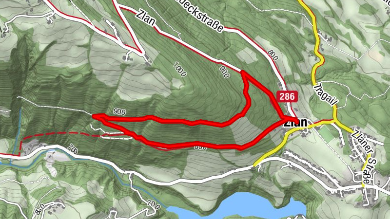 Zemljevid
