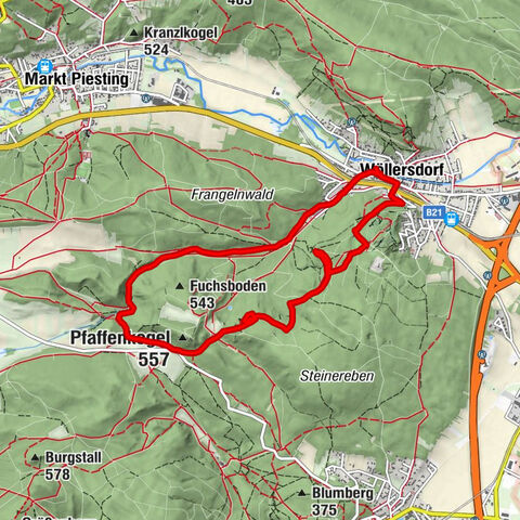 Gutensteiner Alpen: Der Malleitenberg