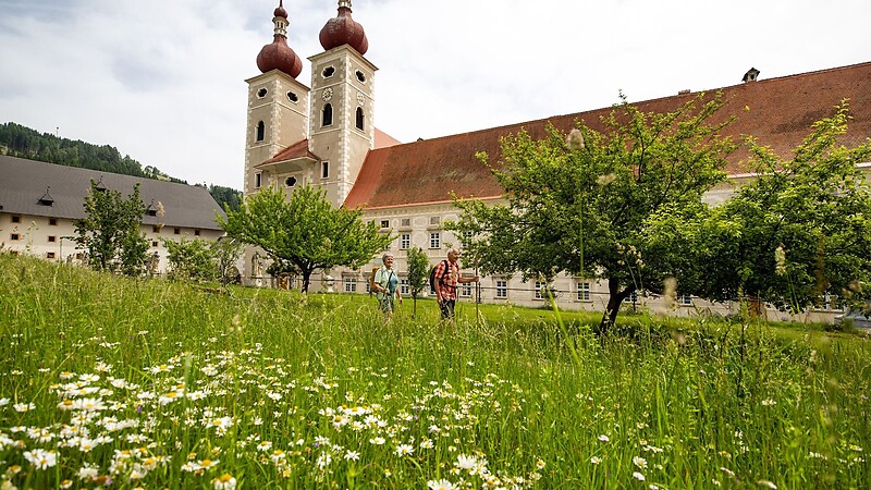 Zemljevid