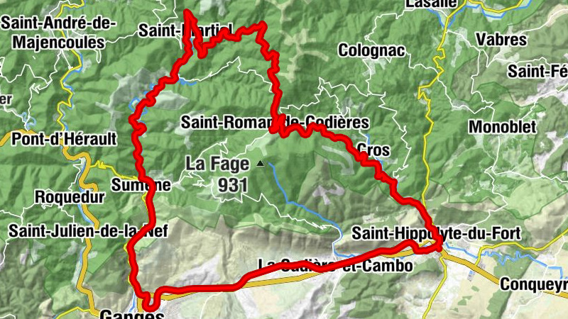 Temple - Église Saint-Hippolyte - Église Saint-Roman - Saint-Hippolyte-du-Fort