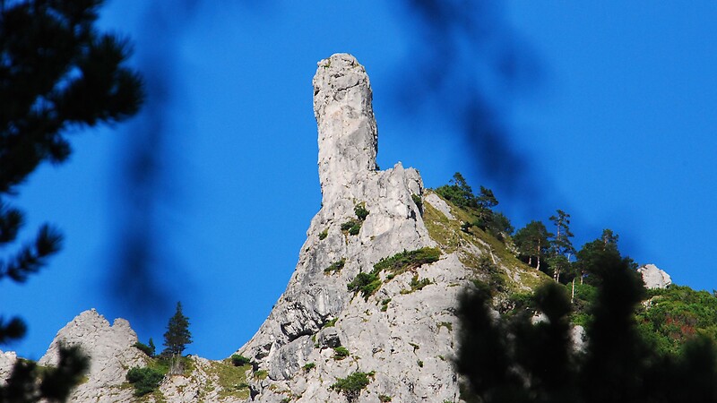 Zemljevid