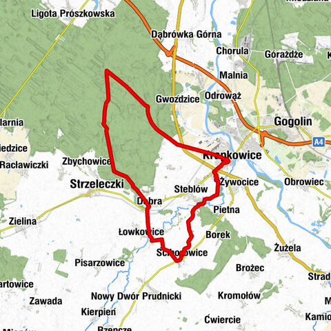 Ściborowice - Nowy Młyn - Krapkowice - Kościół parafialny pw. Nawiedzenia Najświętszej Maryi Panny