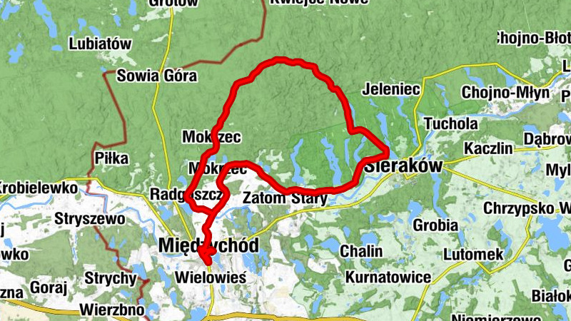 Kościół pw. Męczeństwa św. Jana Chrzciciela - Radgoszcz - Kościół pw. Niepokalanego Serca Maryi - Międzychód