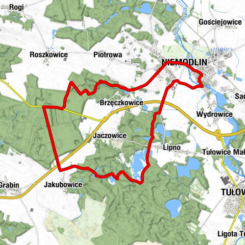 Niemodlin - Kościół parafialny pw. Wniebowzięcia Najświętszej Maryi Panny - Primavera