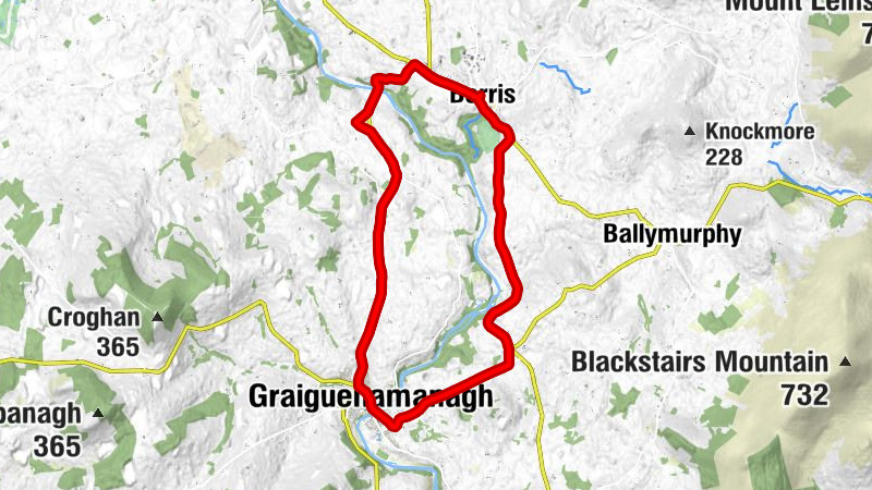 Borris - Graiguenamanagh - River Palace - Chinese and Thai Restaurant - Duiske Abbey