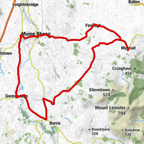 Church of Exaltation of the Holy Cross - Grange Sylvae Saint George - Saint Mary's - Fenagh All Saints' Church