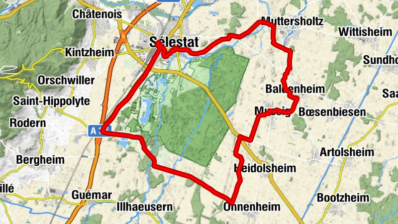 Zemljevid