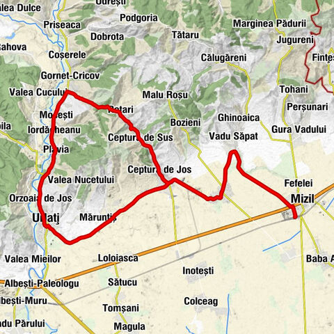 Mizil - Biserica ortodoxă din lemn Sfinții Ioachim și Ana - Urlați